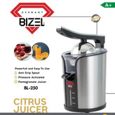 آبمرکبات گیری بیزلBL250توان350وات